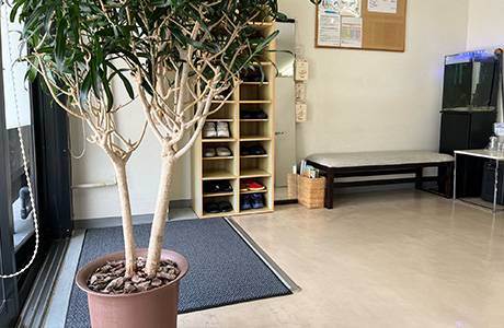 一面ガラス張りの明るい院内画像