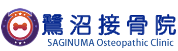 鷺沼接骨院ロゴ